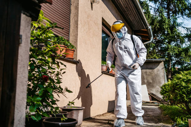 Best Pest Inspection Near Me  in Campbellsburg, KY