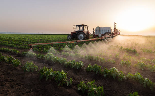 Best Mosquito Control Services  in Campbellsburg, KY