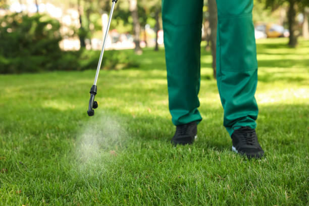 Best Wasp Removal Services  in Campbellsburg, KY