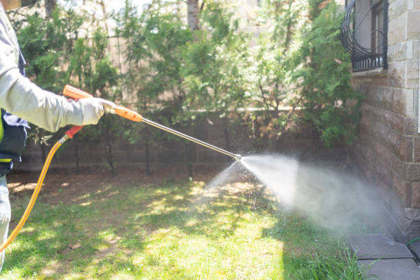 Spider Control Near Me in Campbellsburg, KY