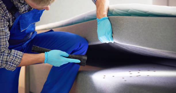 Best Bed Bug Extermination  in Campbellsburg, KY