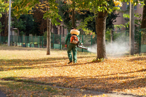 Best Pest Control Treatment  in Campbellsburg, KY