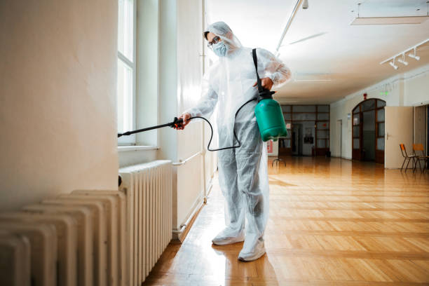 Best Best Pest Control Companies  in Campbellsburg, KY